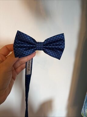le chateau Blue Geometric Pre-Tied Bow Tie